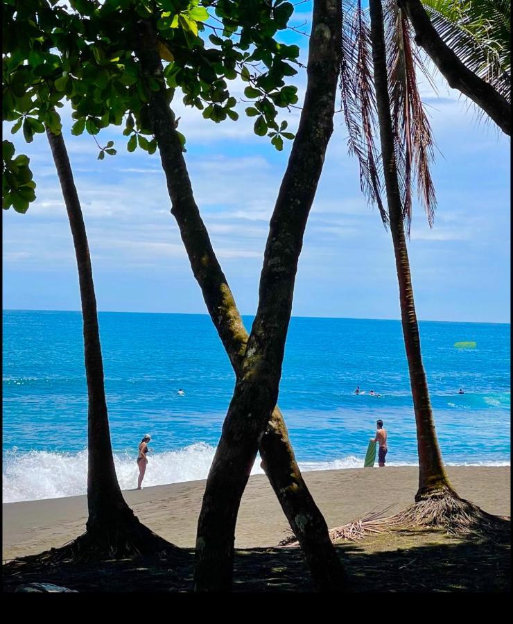 Hotel Beachfront Vista Hermosa ハコ エクステリア 写真