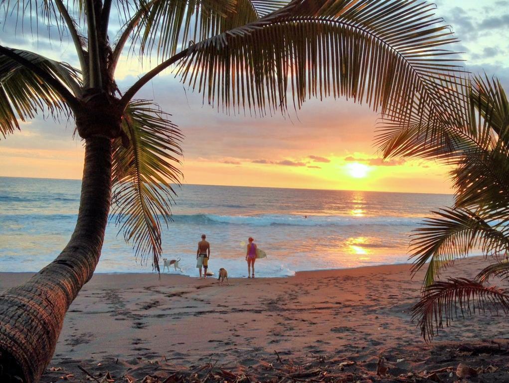Hotel Beachfront Vista Hermosa ハコ エクステリア 写真