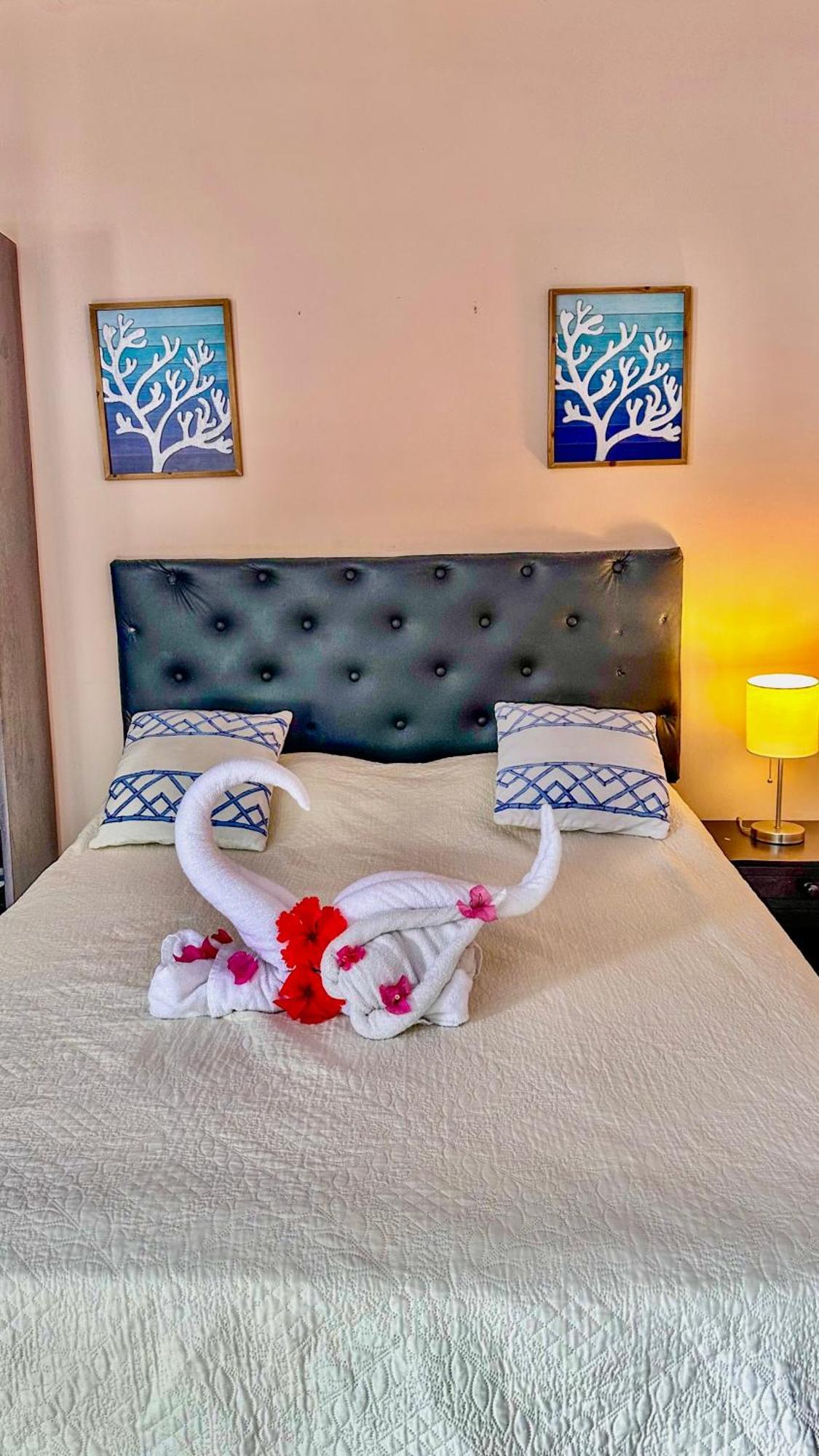Hotel Beachfront Vista Hermosa ハコ エクステリア 写真