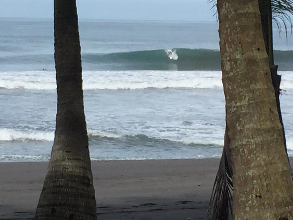 Hotel Beachfront Vista Hermosa ハコ エクステリア 写真