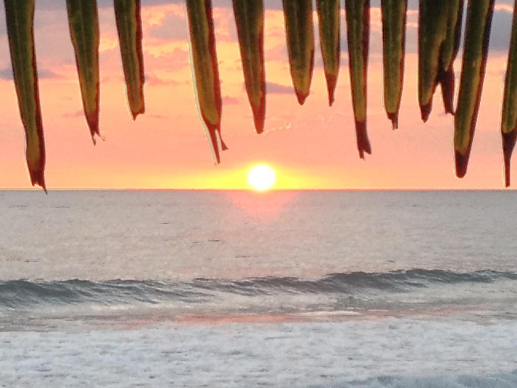 Hotel Beachfront Vista Hermosa ハコ エクステリア 写真