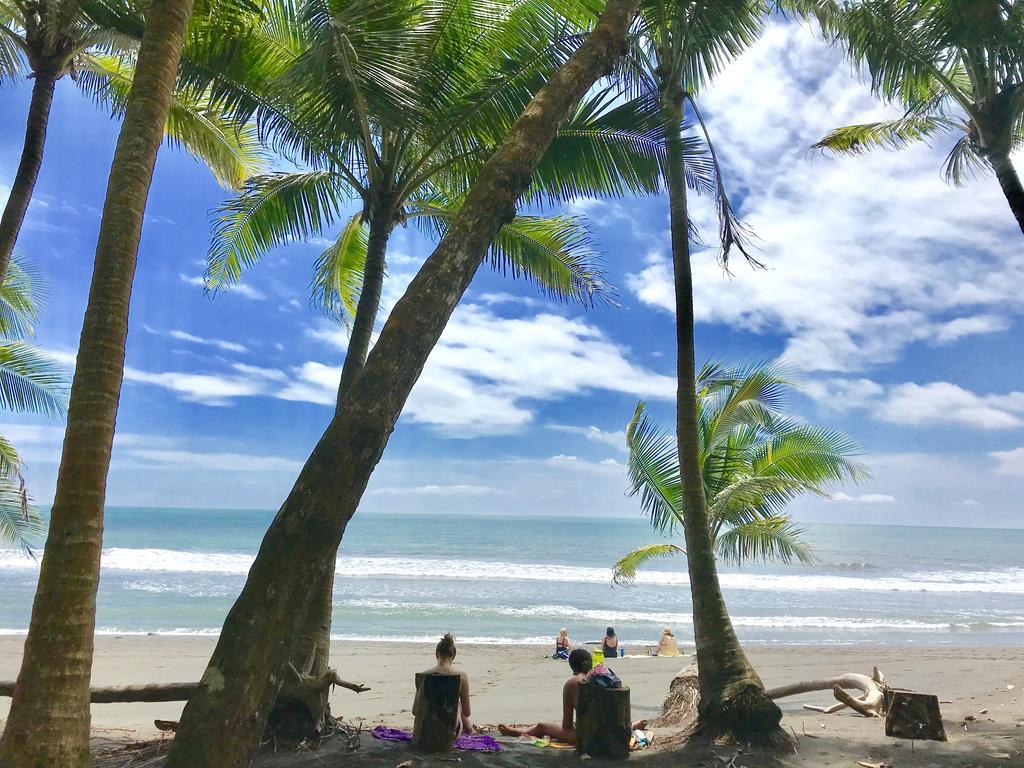 Hotel Beachfront Vista Hermosa ハコ エクステリア 写真